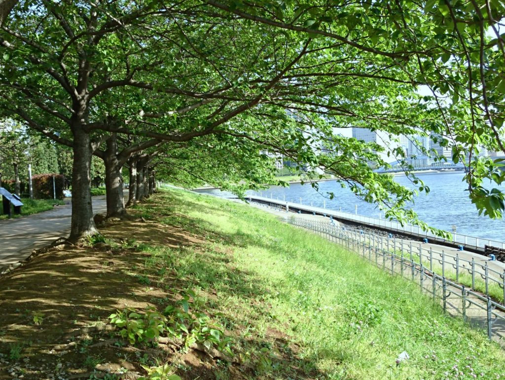 朝　石川島